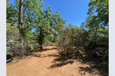 1636 Nickerson Lane, Murphys, CA 95247 - Photo 5