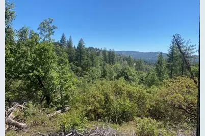 1636 Nickerson Lane, Murphys, CA 95247 - Photo 7