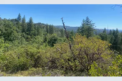 1636 Nickerson Lane, Murphys, CA 95247 - Photo 13