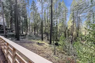 2900 Shady Ln, Pollock Pines, CA 95726 - Photo 29