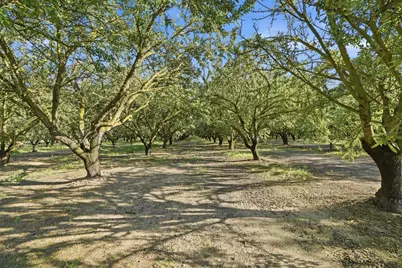 18401 S Carrolton, Ripon, CA 95366 - Photo 29