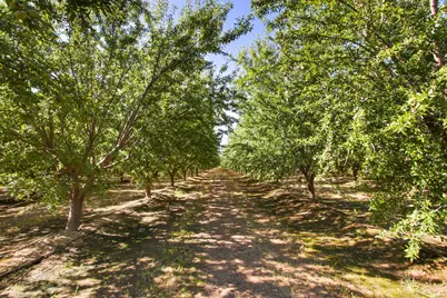 506 Young Avenue, Arbuckle, CA 95912 - Photo 5