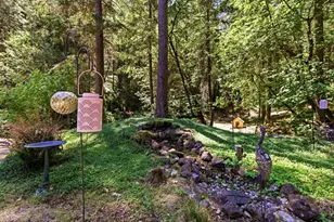4550 Newtown Rd, Placerville, CA 95667 - Photo 39