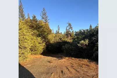16275 Wildrose Way, Brownsville, CA 95919 - Photo 31