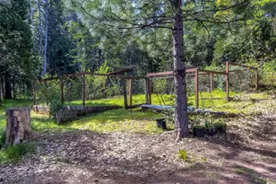 12081 Robust Way, Nevada City, CA 95959 - Photo 25