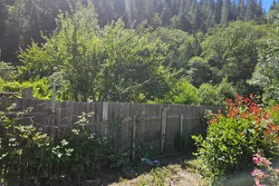 420 S 1st St, Dunsmuir, CA 96025 - Photo 29