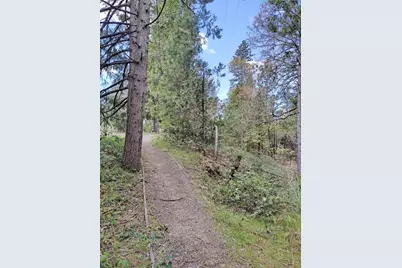 6141 State Highway 193, Georgetown, CA 95634 - Photo 11