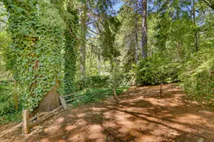 12104 Sunny Slope Dr, Nevada City, CA 95959 - Photo 71