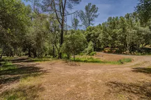 4043 Hwy 49, Mokelumne Hill, CA 95245 - Photo 57