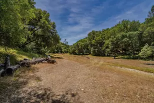 4043 Hwy 49, Mokelumne Hill, CA 95245 - Photo 83