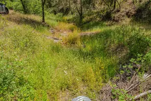 4043 Hwy 49, Mokelumne Hill, CA 95245 - Photo 79