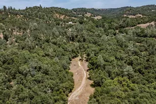 4043 Hwy 49, Mokelumne Hill, CA 95245 - Photo 99