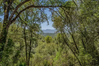 4043 Highway 49, Mokelumne Hill, CA 95245 - Photo 15