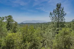 4043 Hwy 49, Mokelumne Hill, CA 95245 - Photo 75