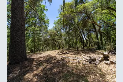 5030 Irish Oak Lane, Placerville, CA 95667 - Photo 11