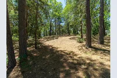5030 Irish Oak Lane, Placerville, CA 95667 - Photo 7