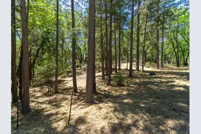 5030 Irish Oak Lane, Placerville, CA 95667 - Photo 5
