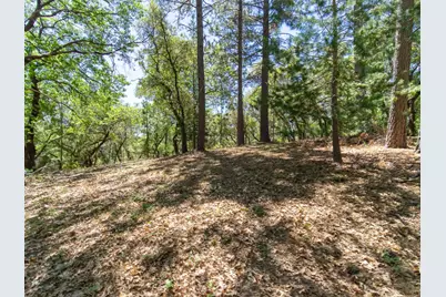 5030 Irish Oak Lane, Placerville, CA 95667 - Photo 9
