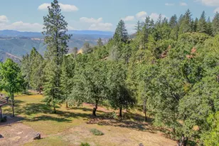11037 Clinton Bar Rd, Pine Grove, CA 95665 - Photo 3