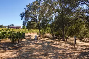 1000 Aqua Haven Ct, El Dorado Hills, CA 95762 - Photo 43