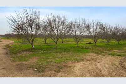 16221 Carrolton, Escalon, CA 95320 - Photo 19