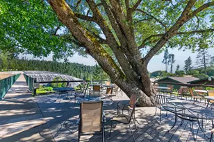 22540 Golf Club Dr, Twain Harte, CA 95383 - Photo 43