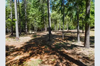 14843 Youngs Hill Road, Camptonville, CA 95922 - Photo 55
