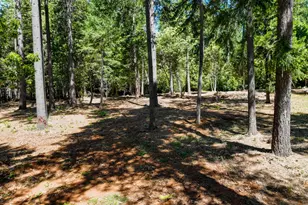 14843 Youngs Hill Rd, Camptonville, CA 95922 - Photo 55