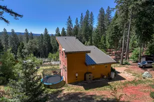 14843 Youngs Hill Rd, Camptonville, CA 95922 - Photo 5