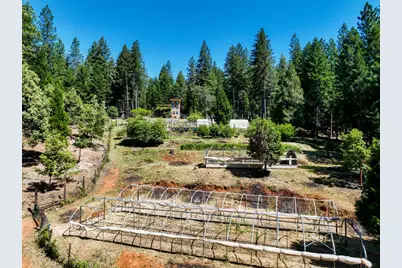 14843 Youngs Hill Road, Camptonville, CA 95922 - Photo 85