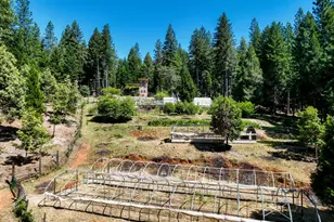 14843 Youngs Hill Rd, Camptonville, CA 95922 - Photo 85