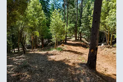 14843 Youngs Hill Road, Camptonville, CA 95922 - Photo 77