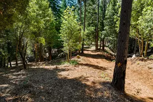 14843 Youngs Hill Rd, Camptonville, CA 95922 - Photo 77