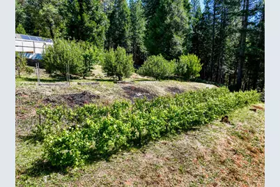 14843 Youngs Hill Road, Camptonville, CA 95922 - Photo 43