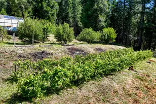 14843 Youngs Hill Rd, Camptonville, CA 95922 - Photo 43