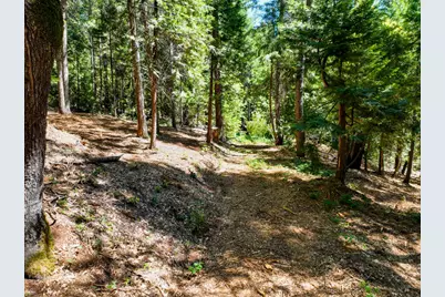 14843 Youngs Hill Road, Camptonville, CA 95922 - Photo 53