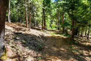 14843 Youngs Hill Rd, Camptonville, CA 95922 - Photo 53
