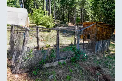 14843 Youngs Hill Road, Camptonville, CA 95922 - Photo 91