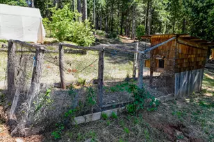 14843 Youngs Hill Rd, Camptonville, CA 95922 - Photo 91