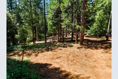 14843 Youngs Hill Road, Camptonville, CA 95922 - Photo 73