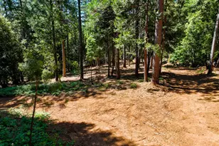 14843 Youngs Hill Rd, Camptonville, CA 95922 - Photo 73