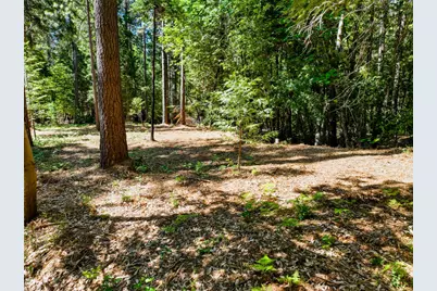 14843 Youngs Hill Road, Camptonville, CA 95922 - Photo 79