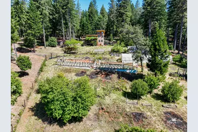 14843 Youngs Hill Road, Camptonville, CA 95922 - Photo 71
