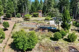 14843 Youngs Hill Rd, Camptonville, CA 95922 - Photo 71