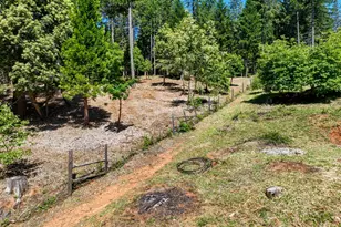 14843 Youngs Hill Rd, Camptonville, CA 95922 - Photo 87