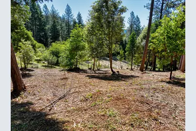 14843 Youngs Hill Road, Camptonville, CA 95922 - Photo 69