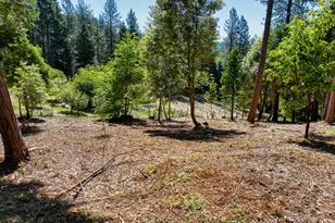 14843 Youngs Hill Rd, Camptonville, CA 95922 - Photo 69