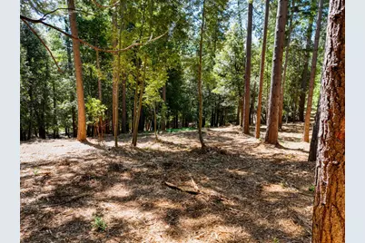 14843 Youngs Hill Road, Camptonville, CA 95922 - Photo 75