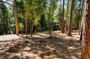 14843 Youngs Hill Rd, Camptonville, CA 95922 - Photo 75