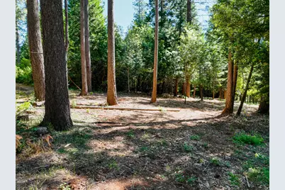 14843 Youngs Hill Road, Camptonville, CA 95922 - Photo 61
